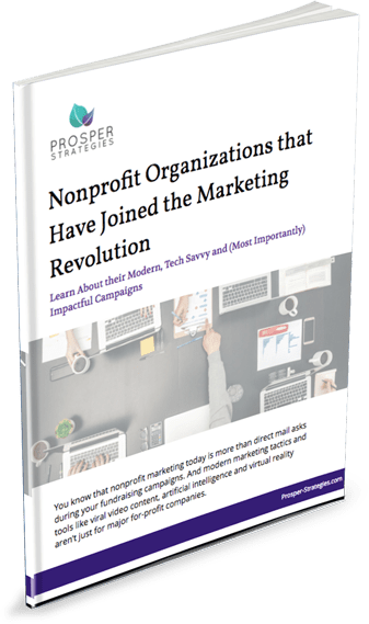 Ebook cover: Nonprofit Organizations that Have Joined the Marketing Revolution