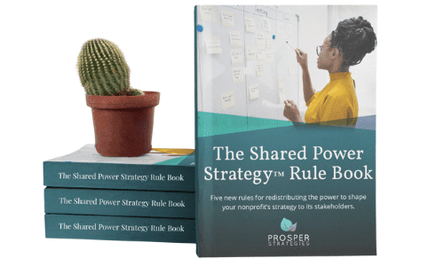 A picture of the Shared Power Strategy™ Rule Book