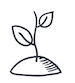 A small sapling representing Prosper's focus on nonprofits