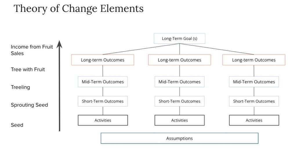 Theory of Change Tree Analogy